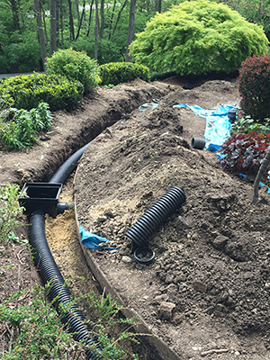 Drainage Solutions Prosper