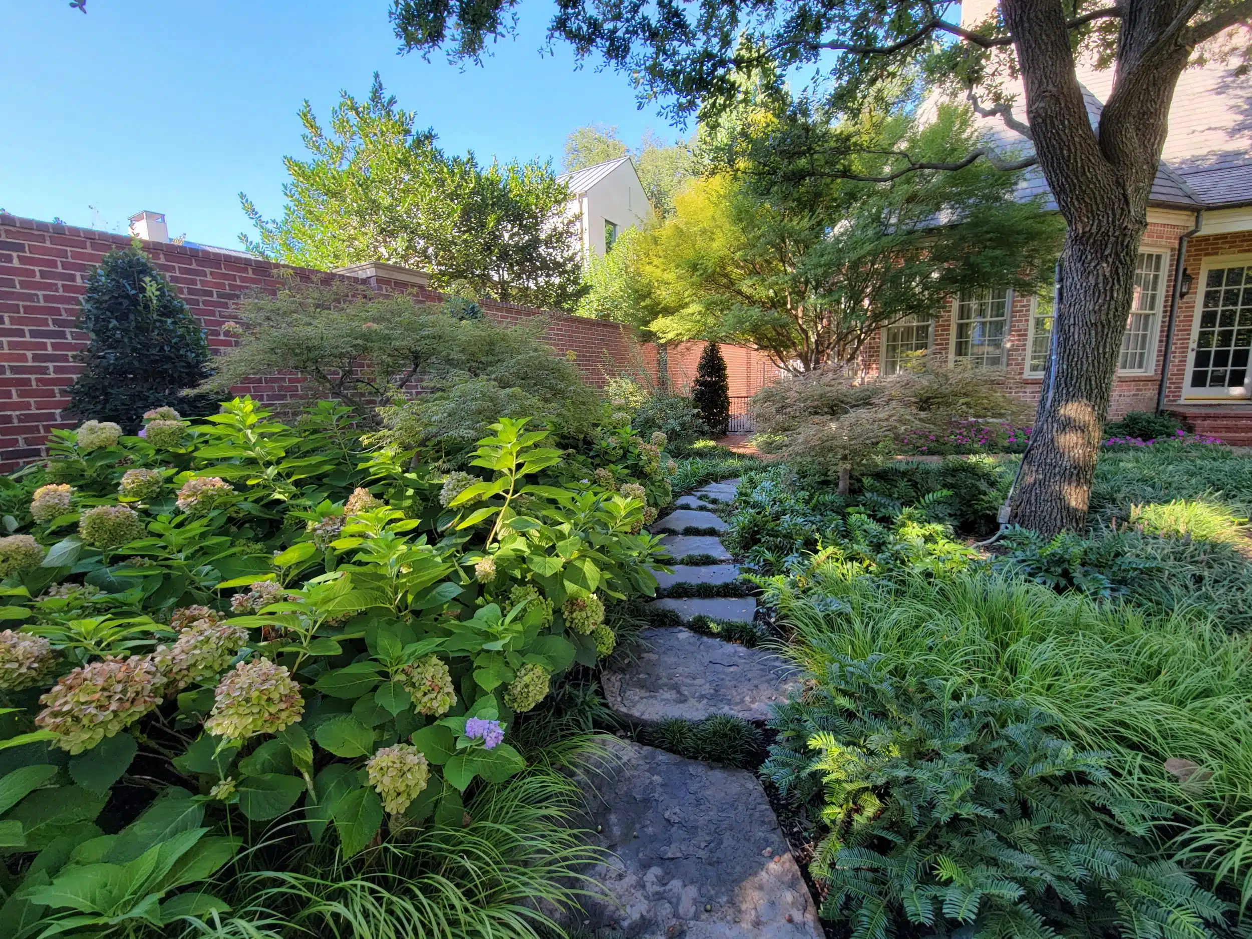 Landscape Design Prosper